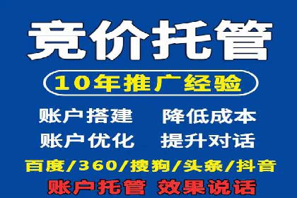 SEM主管实战：案例分析与优化策略